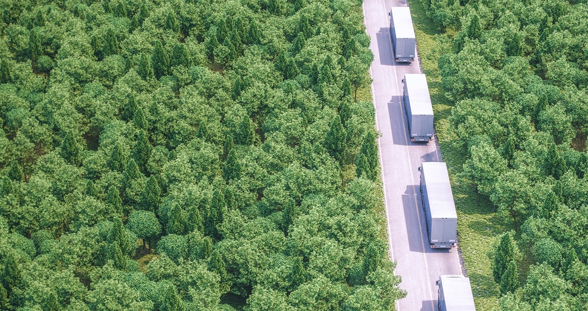 卡车组成的车队在公路上主要通过一个绿色的森林。